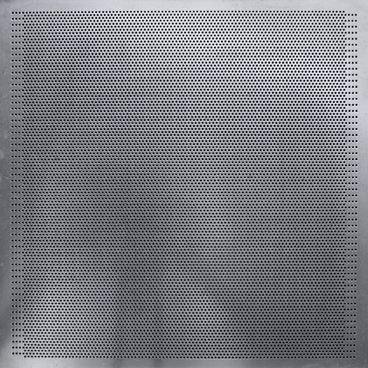 proven teglia forata.