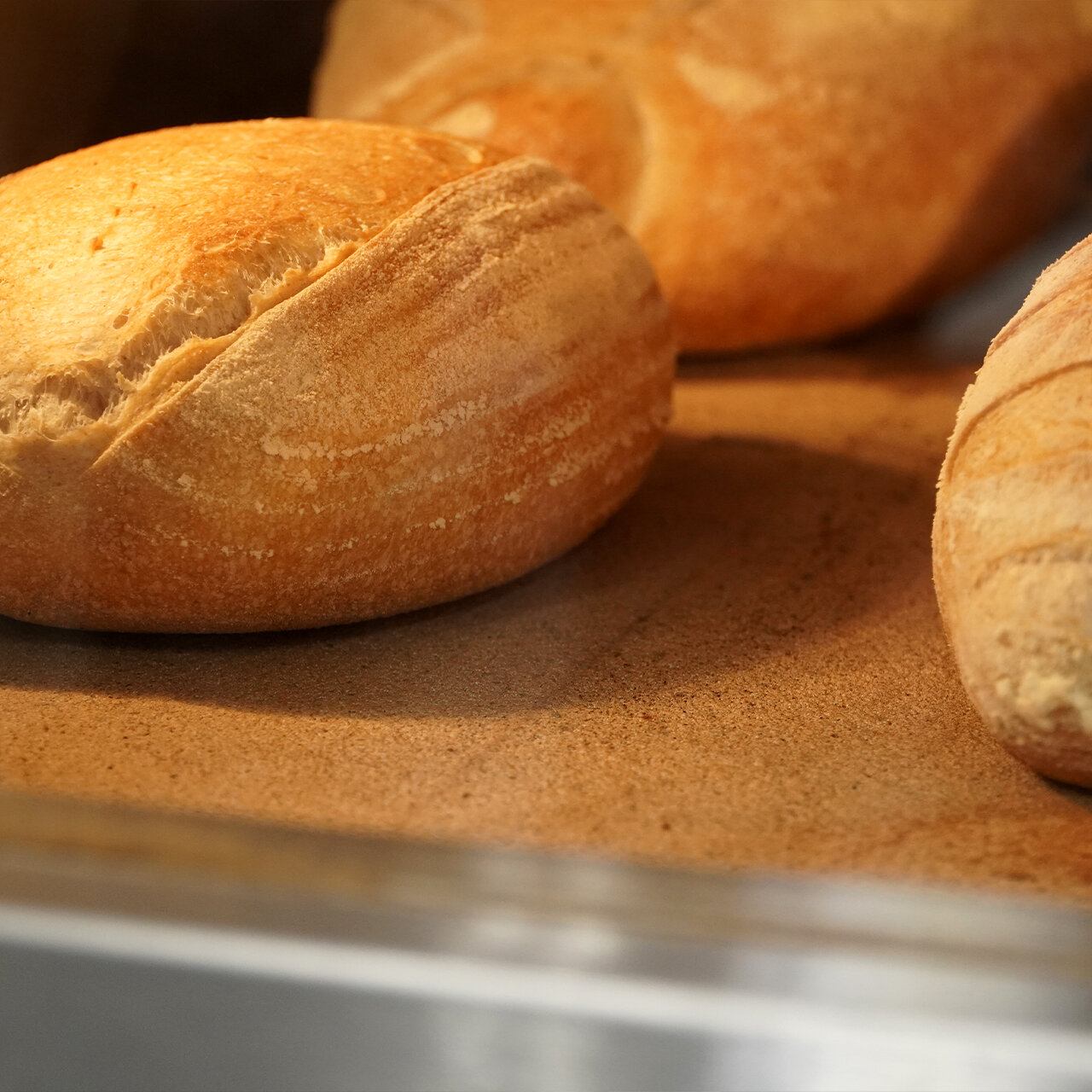 pane 600g crudo serieS