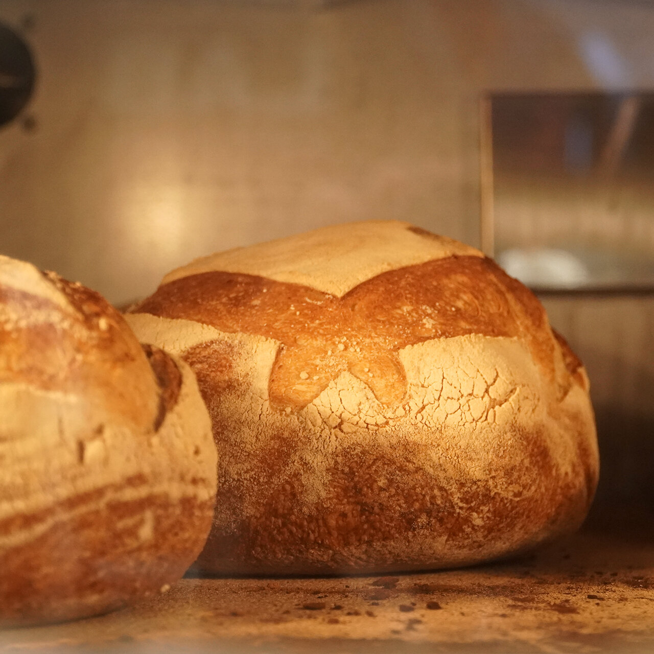 pane 1000g crudo serieS